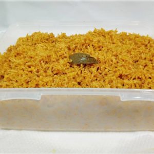 Jollof Rice - 2-Litre Bowl